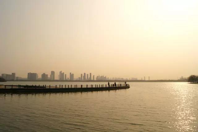 無錫紫蘋果裝飾