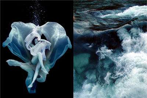 無錫紫蘋果裝飾