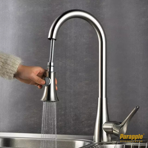 無錫紫蘋果裝飾