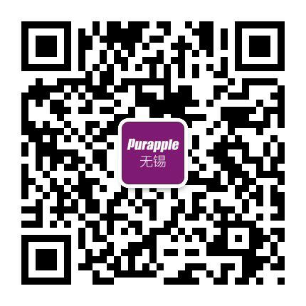 無錫紫蘋果裝飾