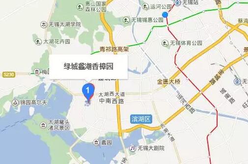 無錫紫蘋果裝飾