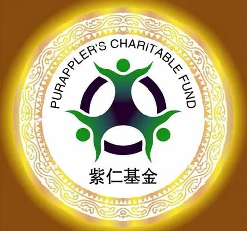 無錫紫蘋果裝飾